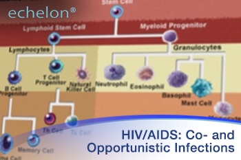 course_image